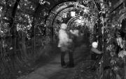 kadriorg_09bw.jpg